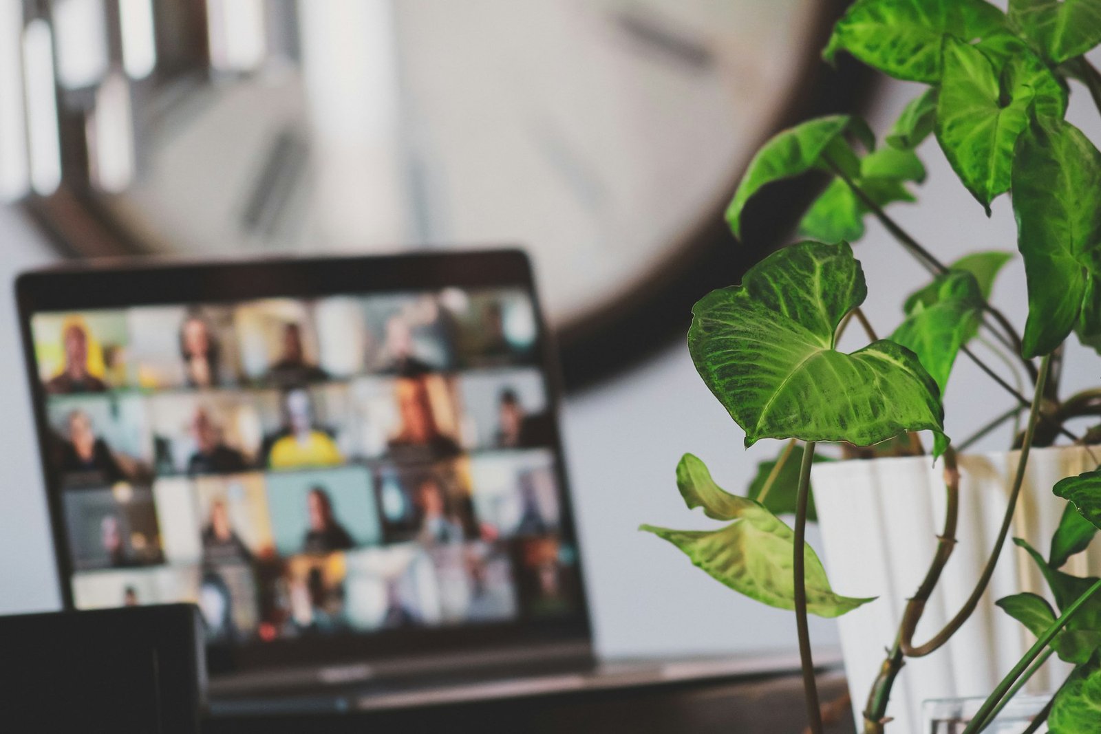A laptop on a desk showing a video call with a grid of participants, next to a green houseplant